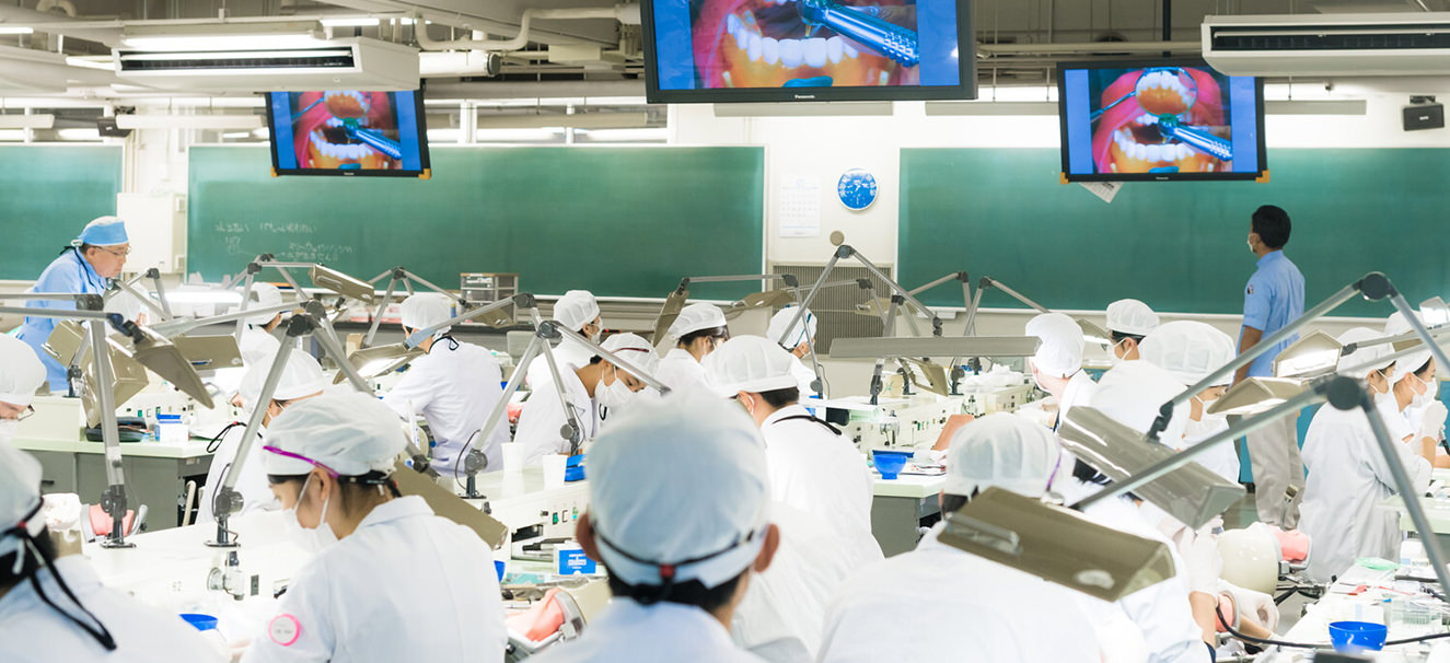 日本大学松戸歯学部 日本大学松戸歯学部