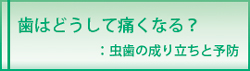 虫歯の成り立ちと予防