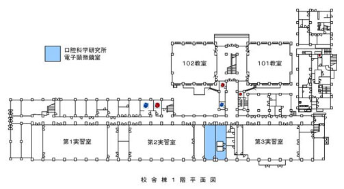 電子_ガイド