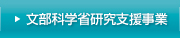 文部科学省研究支援事業